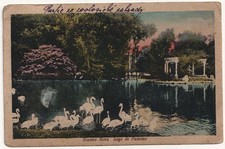 Buenos Aires Lago di Palermo