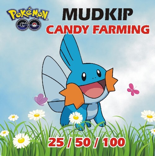 Pokemon mudkip candy - go,