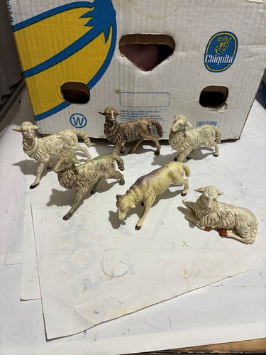 Pecore presepe per - pecore,
