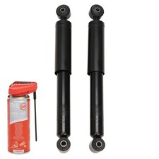 2x Ammortizzatori + Olio