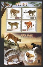 (936743) Catlike, Lince