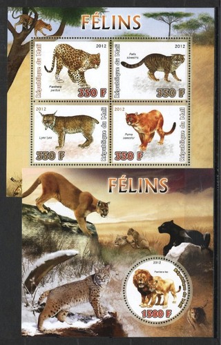 Catlike lince - (936743),