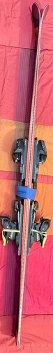 Skis fischer rc4 - the, curv