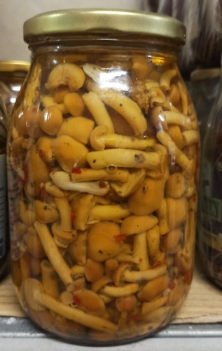 Funghi chiodini sott - funghi, sott'olio
