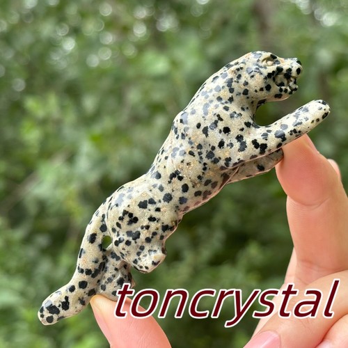 Balmatino naturale leopardo - balmatino,
