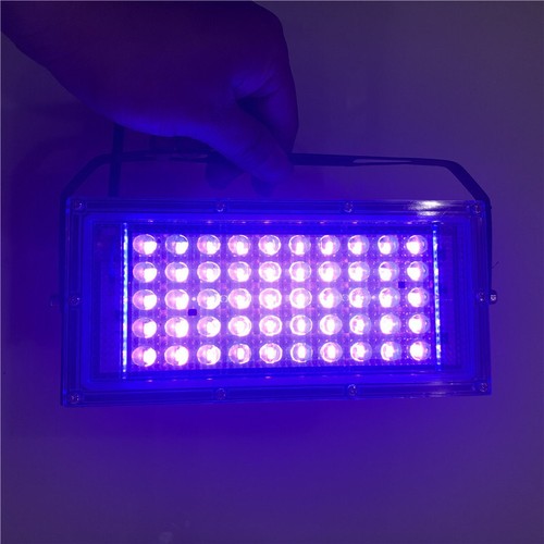 Lampada luce polimerizzante