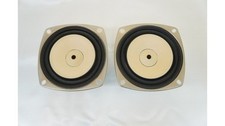 Coppia altoparlanti FOSTEX