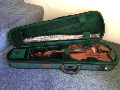 Violino maidstone con - maidstone, 3/4,