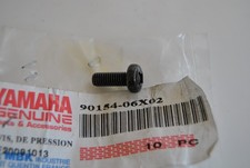 Vite freccia Blinker screw