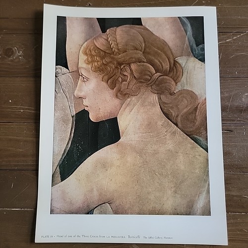 Piatto botticelli vintage - piatto,