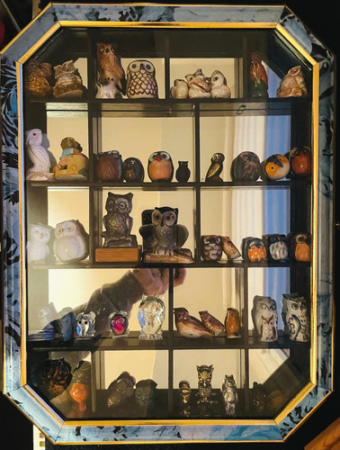 Collezione gufi vetrina da - collezione,