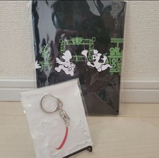 Super Mario Bros Luigi’s