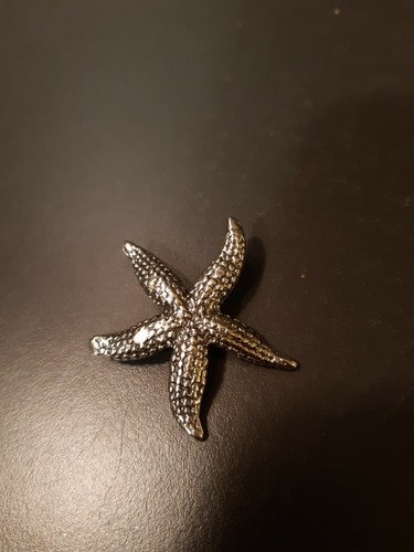 Spilla stella marina argento - spilla,