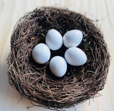 5 uova di pollo nane uova di nido fagiano uova di nido uova di ceramica uova di gesso decorazione 060.021