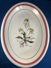 Piatto botanico italiano