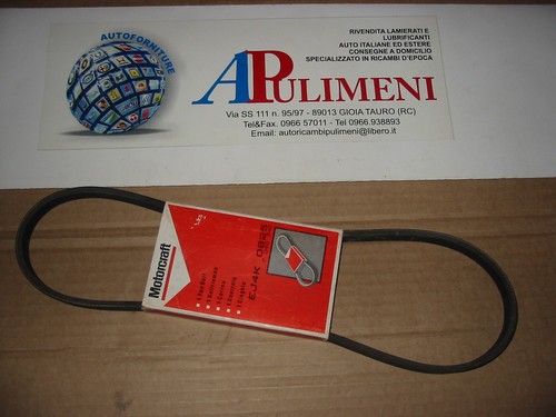 1102827 cinghia servizi poly - cinghia, poly-v