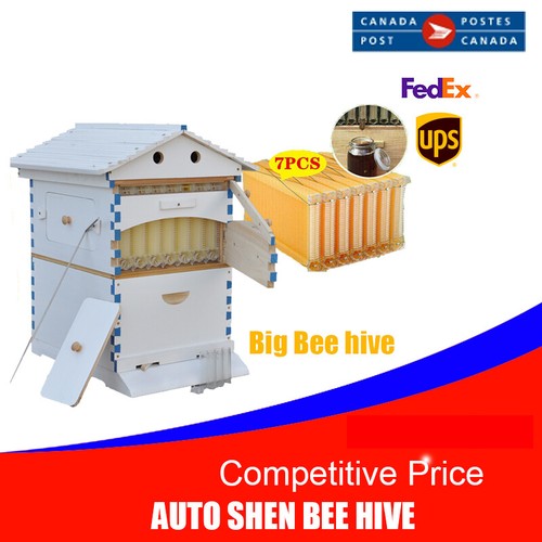 Set cornici auto alveare - 7x,