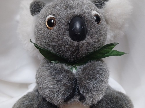 Peluche orso koala aussie - koala, bush