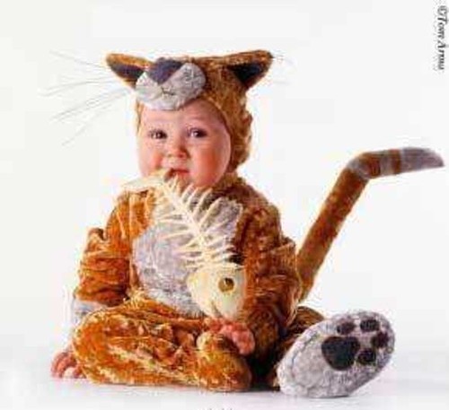 Tom arma vicolo gatto - arma, gatto!