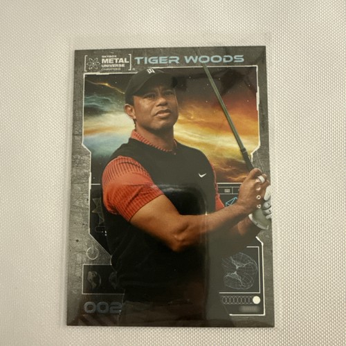 Tiger woods 2021 metal - 2021,