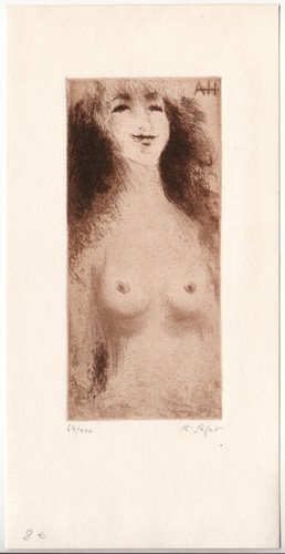 Karel safar exlibris - exlibris, für
