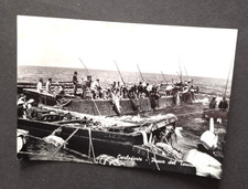 Lucida di Carloforte (CA)- Pesca del tonno. 1961.