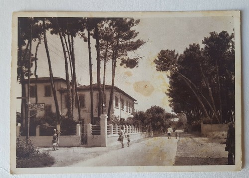 Marina pietrasanta tonfano - marina,
