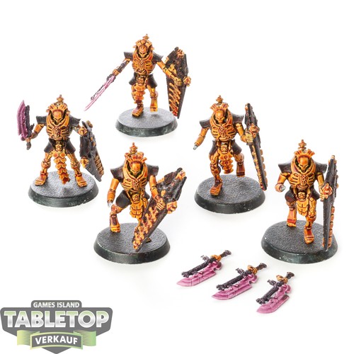Necrons lychguard - 5,
