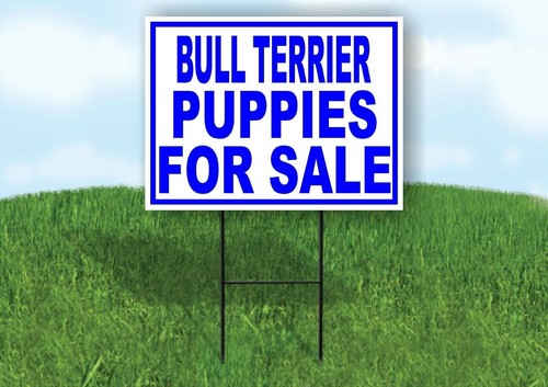 Bull terrier cuccioli - terrier, in