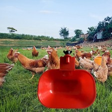 Grande ciotola automatica per