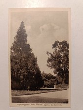 Cartolina dell' Isola Madre Fp Nv Cipresso del Cachemire