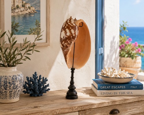 Grande conchiglia melo amphora - melo,