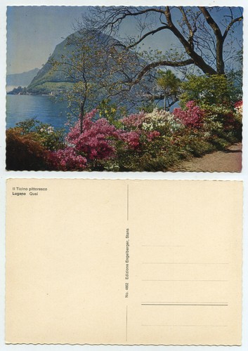 60097 lugano quai - -,
