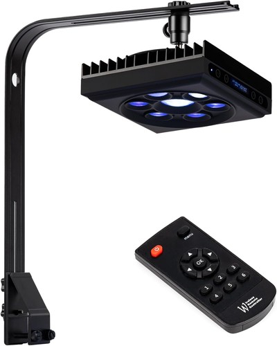 Luce barriera corallina 60w - di,