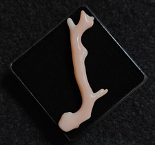 Naturale Bianco Corallo Branch