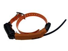 Proteggi collare satellitare