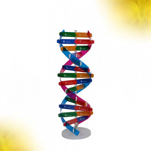 Genes learning experiment - genes,