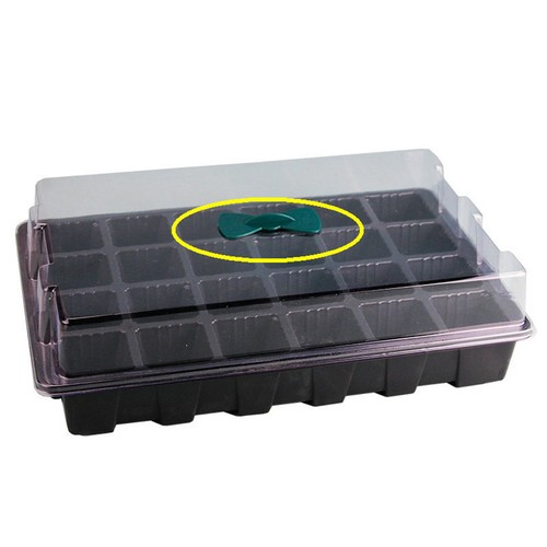 Set germinazione starter - 2,