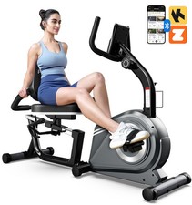 Indoor Recumbent Exercise Bike