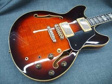 Chitarra elettrica semivuota