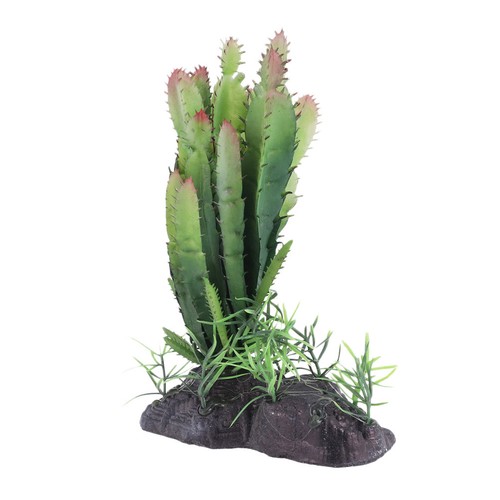 Terrario rettili arredamento - terrario,