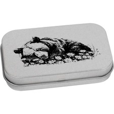 'Orso Grizzly che dorme con