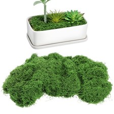  Paesaggio Verde Artificiale Realistico Terrario Muschio Micropaesaggio Decorazione