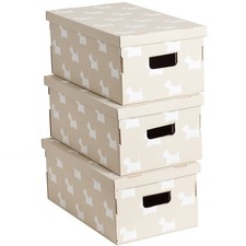 Set di 3 Scatole in Cartone