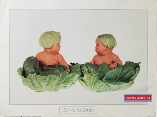 Anne geddes babies cabbage - geddes,