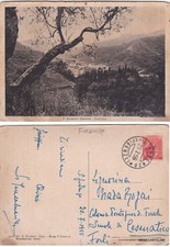 # S. GODENZO ALPESTRE:  PANORAMA    1955