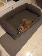 cuccia per cani interno