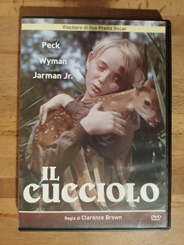 Cucciolo dvd raro e - cucciolo,