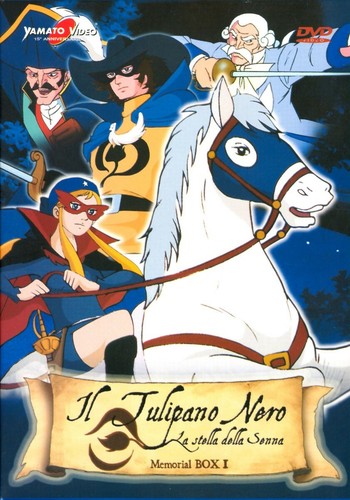 Tulipano nero stella - tulipano,
