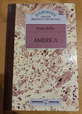 libro romanzo america franz